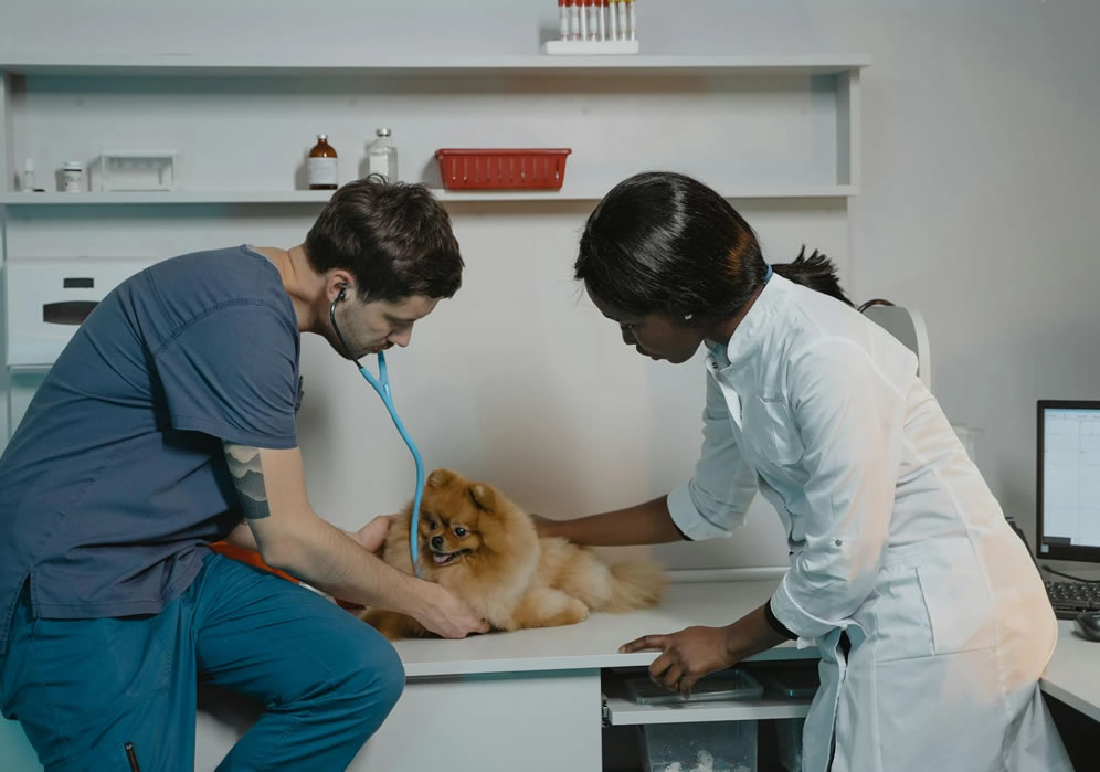 quanto um veterinário ganha por mês​